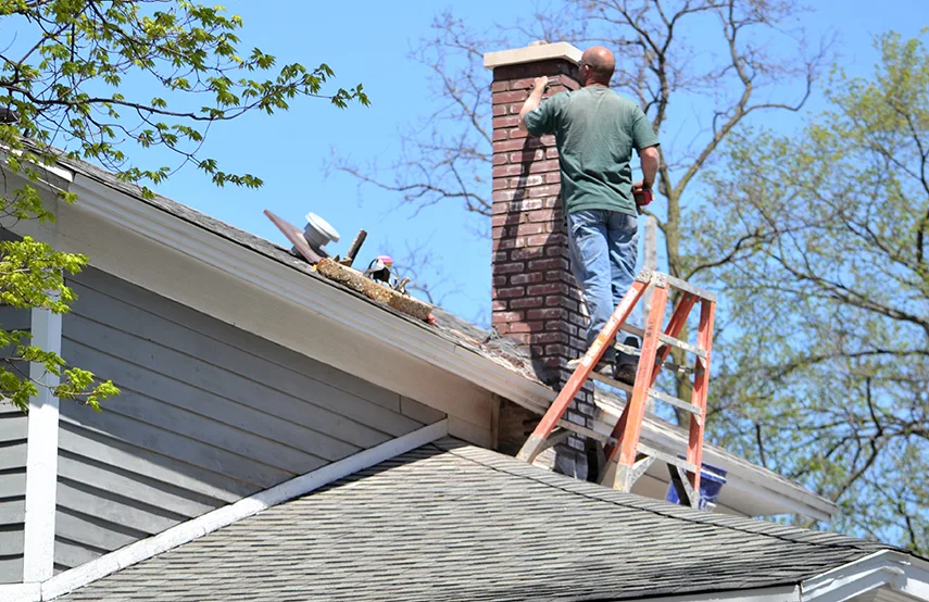 Chimney & Fireplace Inspections Services in Anderson, SC